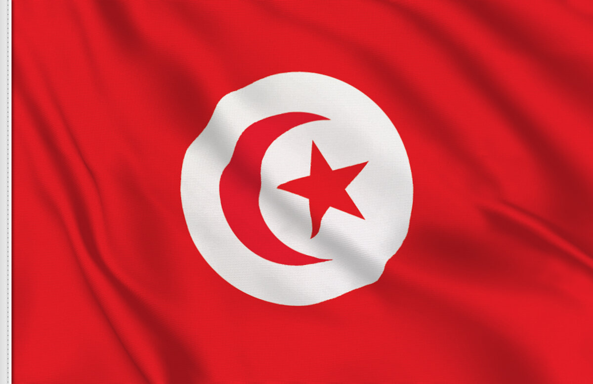 Tunisia Bandiera ONDA Tunisina TUNISIE Adesivi in Vinile Adesivi 75mm x2 