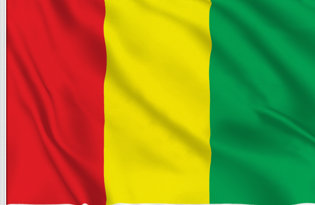 Bandiera Guinea