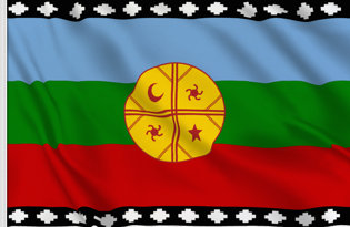 Bandiera Mapuche