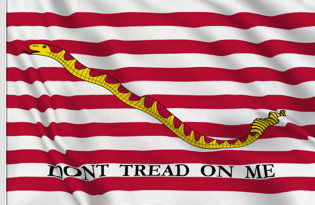 Bandiera USA Marina Militare