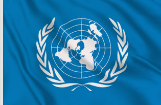 Bandiera ONU