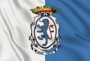 Bandiera Brescia-comune