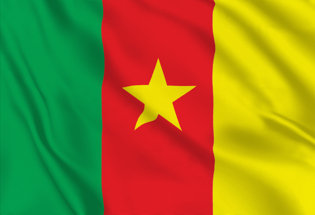 Bandiera Camerun