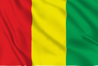 Bandiera Guinea