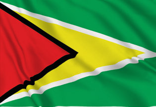 Bandiera Guyana