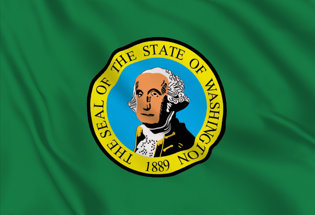 Bandiera Washington