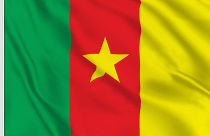 Bandiera Camerun