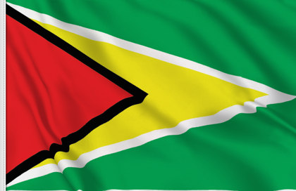 Bandiera Guyana