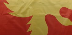 Dettaglio stampa sublimatica bandiera Nuova Guinea