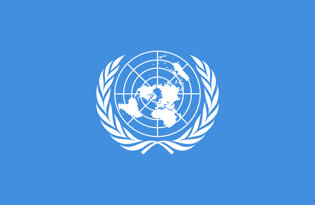 Bandiere di organizzazioni internazionali