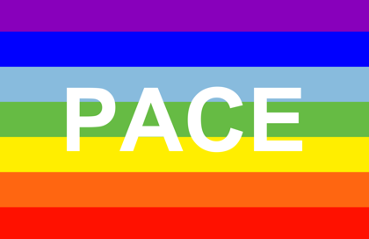 Bandiera Della Pace 60x90 Cm - Arcobaleno Con Scritta PACE, Per Pride, LGBTQ, Eventi Pacifisti